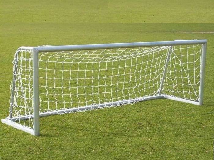 Club van 100 sponsort nieuwe pupillengoals Hollandia T