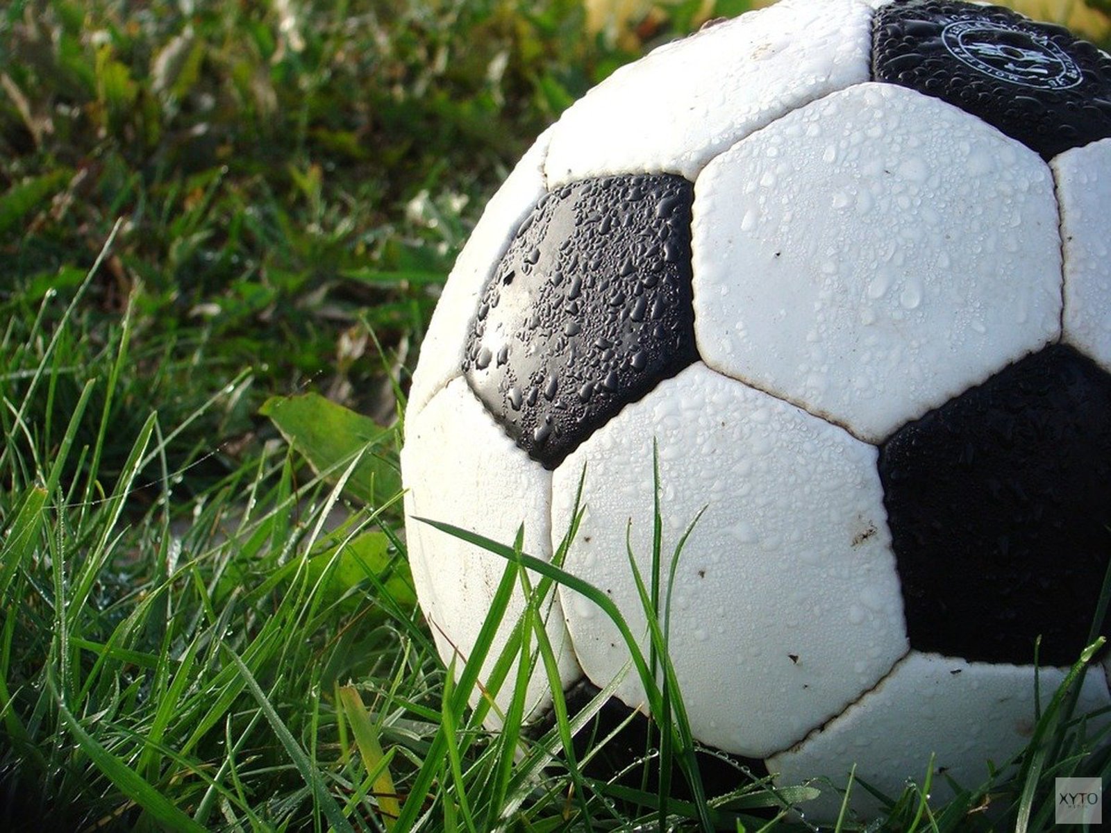 Komende zondag Hollandia T - Wieringerwaard op volgepakt Sportpark De Kuil